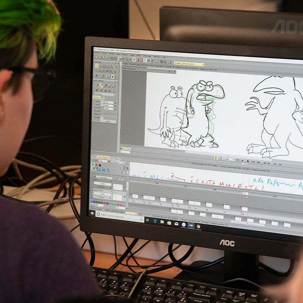 #2 Stage d'hiver "Animation 2D"