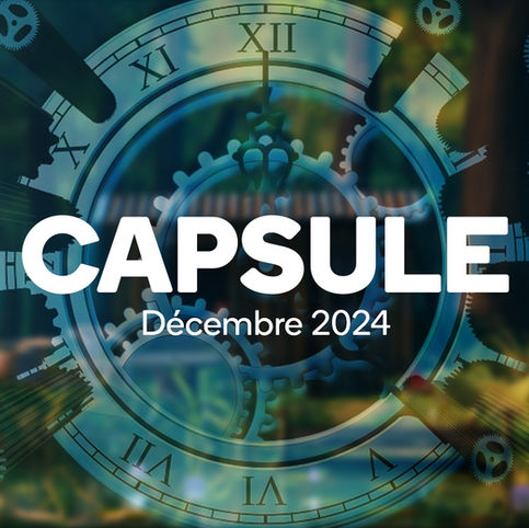 Capsule - Cinéma d'animation - Décembre 2024
