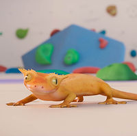 Gecko Tango