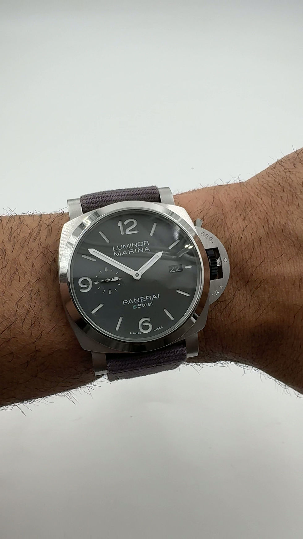 Miniatura: Luminor Panerai E-steel
