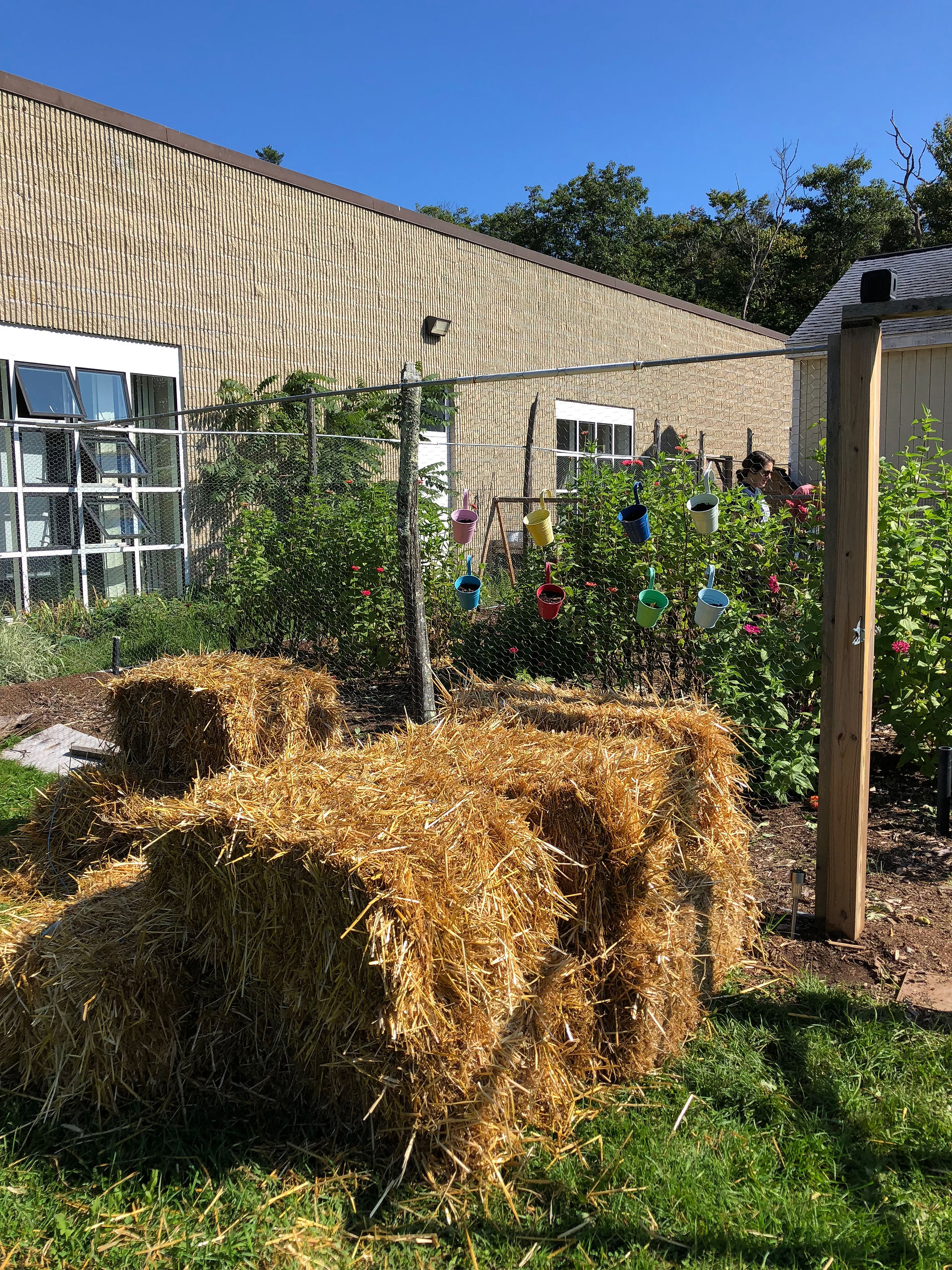 12 bales of straw