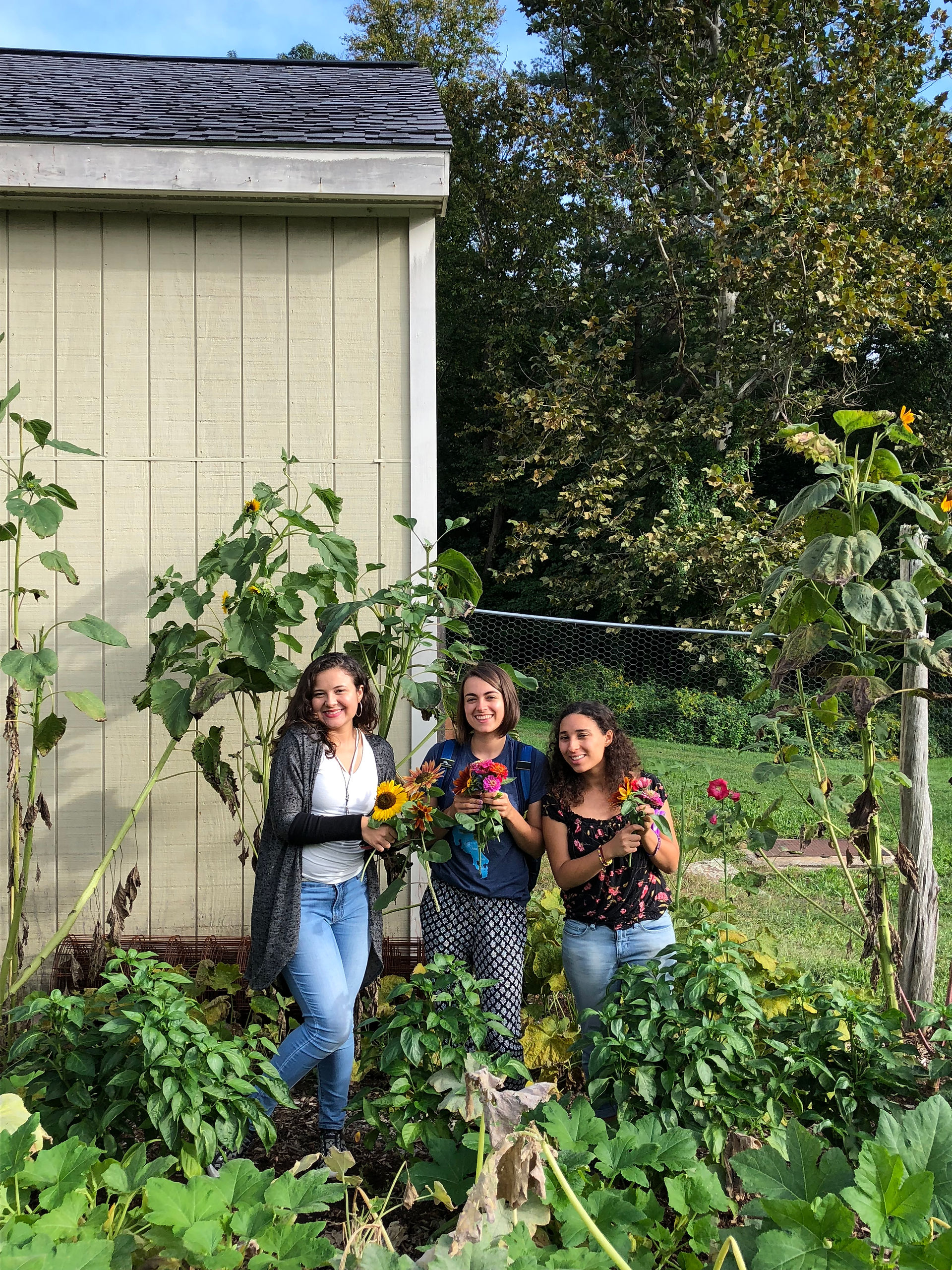 Joanna, Sophia, and Bekah