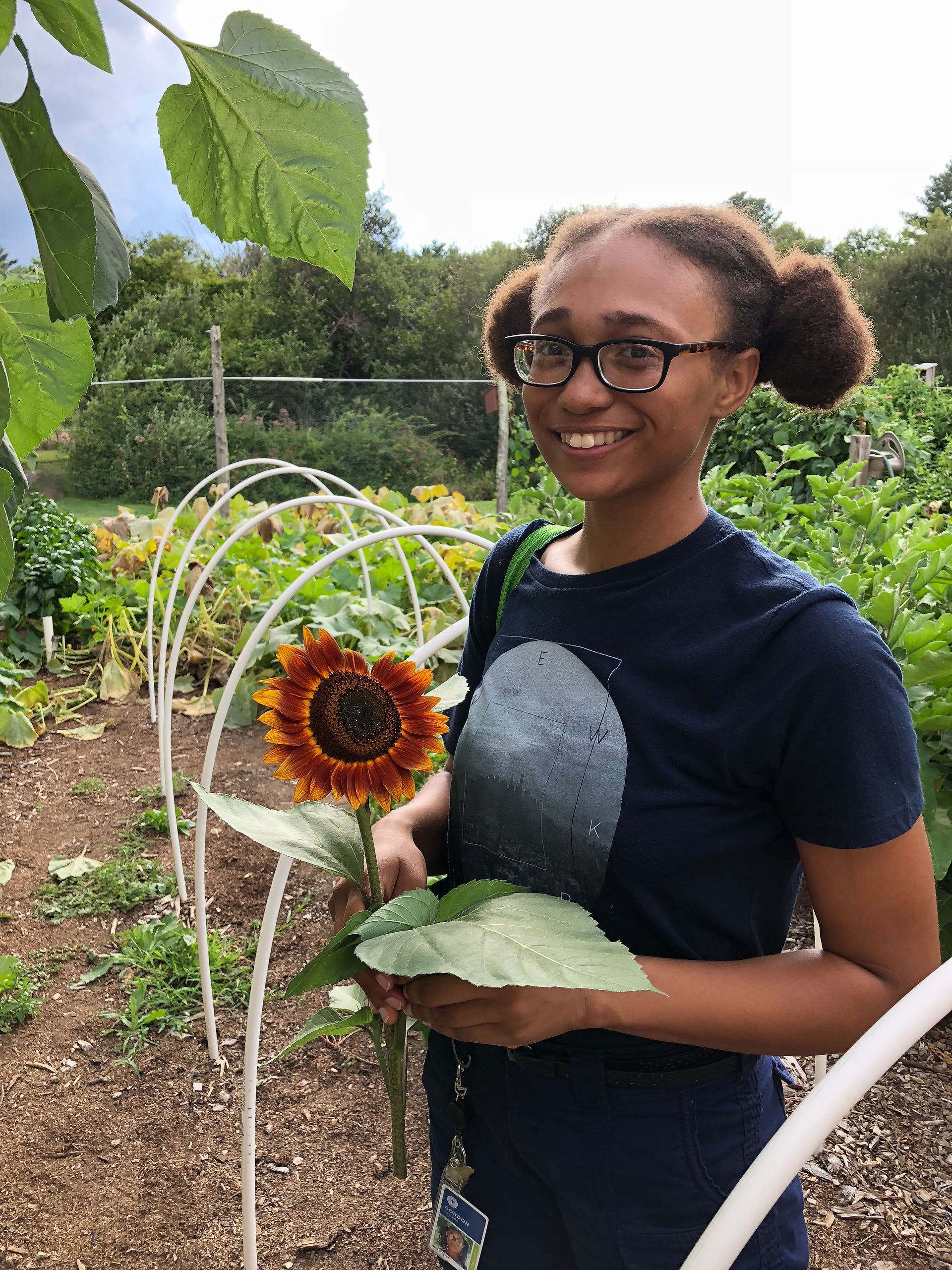 with sunflower