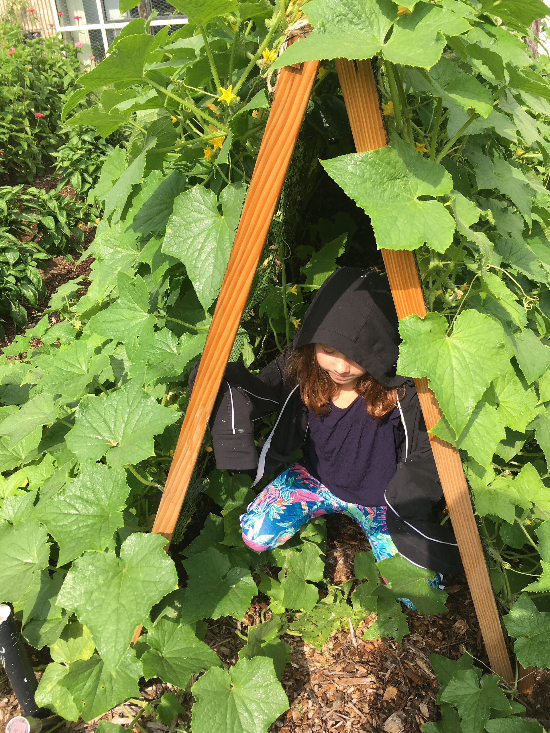 Annie under the cucumber trellis