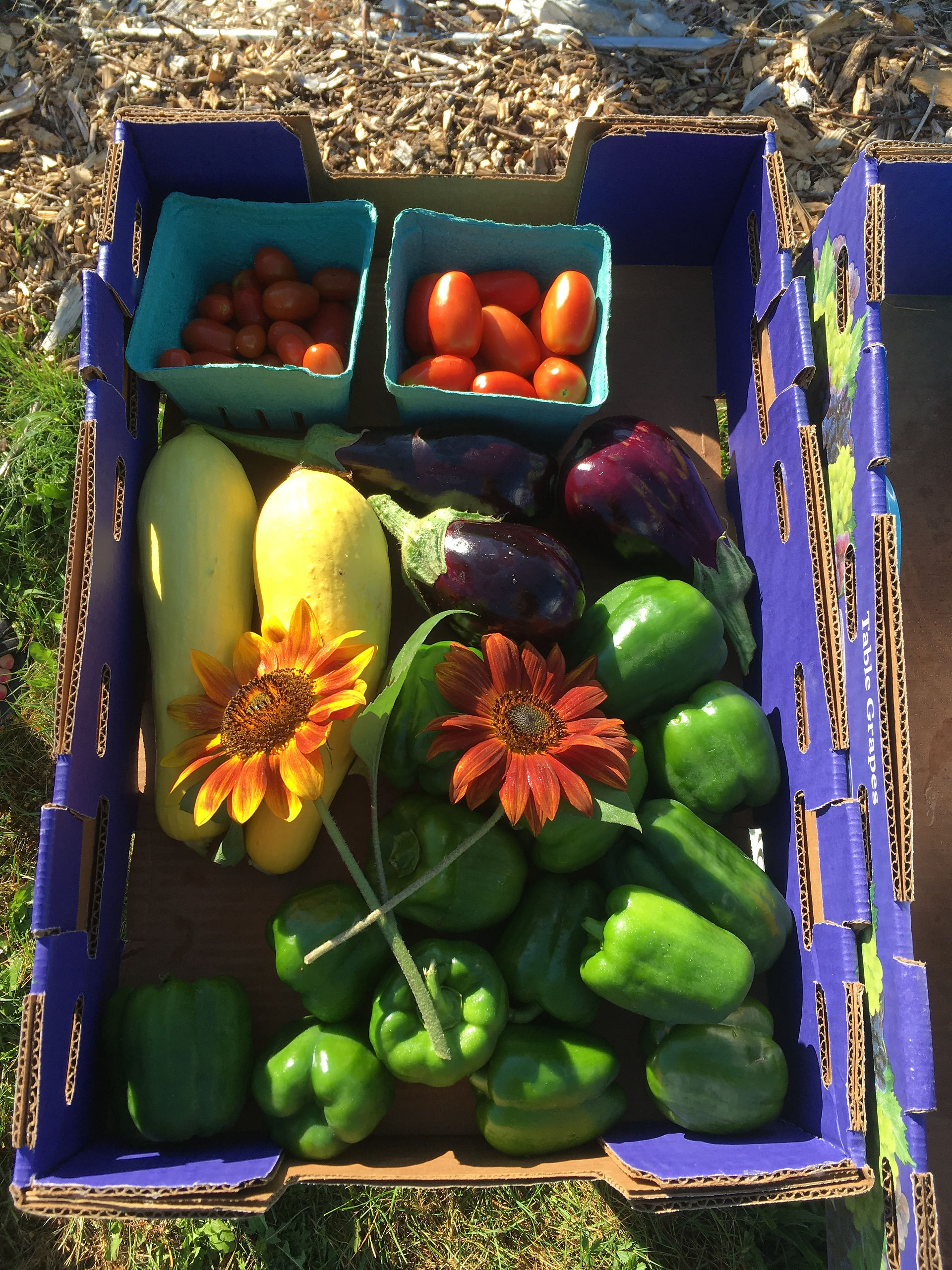 Fresh produce