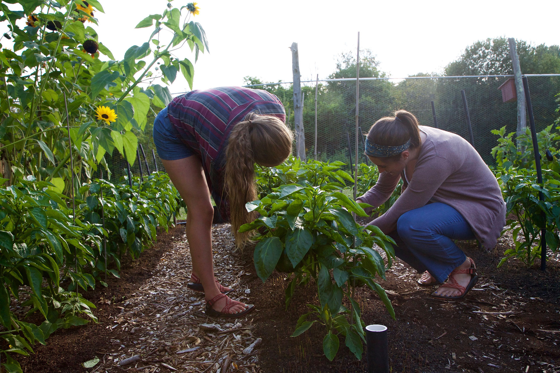 Student visitors at the garden