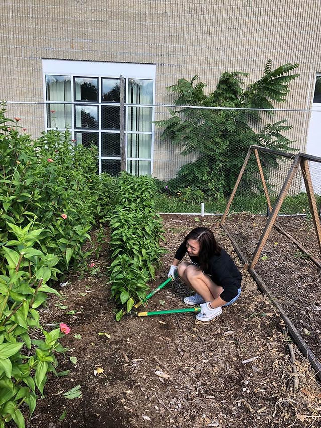 Praisye with the pepper plants