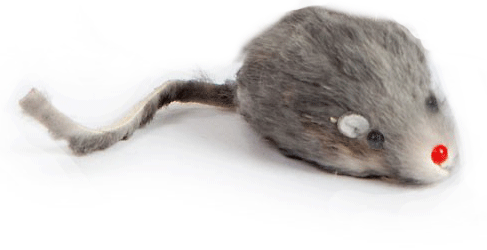 3in mice 2.gif