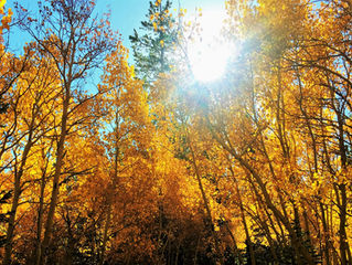 I know some day I'll see them again: James LeRoy