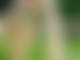 Pilgrimage: A State of Mind