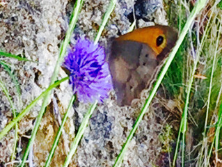 The Commonplace of Grace