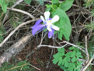 Derek Earl: For Everything a Time