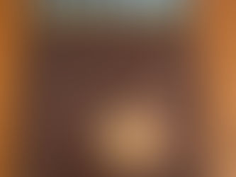 The Psychic Detectives: The Story of Psychometry and the Paranormal in Crime Detection