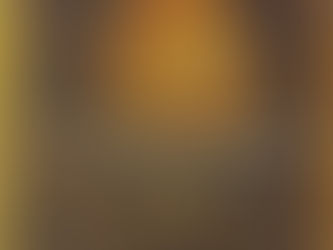 The Philosophers' Secret Fire: A History of the Imagination - by Patrick Harpur