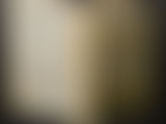 Nepal / The Discovery of Malla