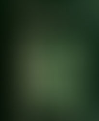 The Forbidden Forest - by Mircea Eliade