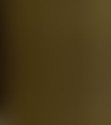 The Rajputs: A Fighting Race