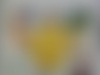 The encyclopedia of mind, magic & mysteries by King, Francis, 1904-