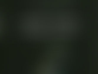 Confronting Collapse : The Crisis of Energy and Money in a Post Peak Oil World