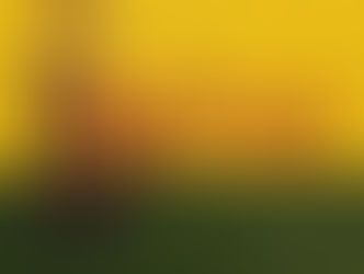 Mongolian Shamanism by Prof. Purev Otgony