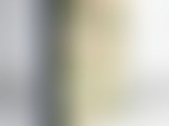 Ethnopharmacologic Search for Psychoactive Drugs, 1967 & 2017: 50 Years of Research (2 Volumes)