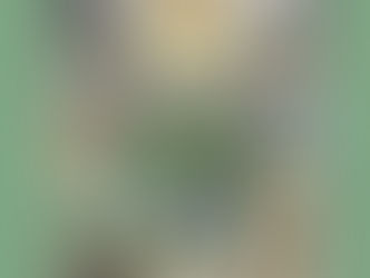 The Occult World (Routledge - Reference Guide)