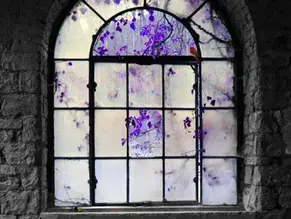 Journal of Exceptional Experiences and Psychology