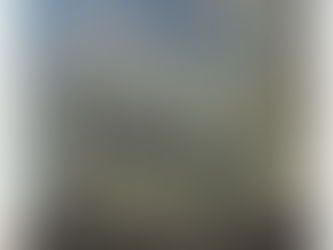 The hidden Himalayas by Carol Dunham