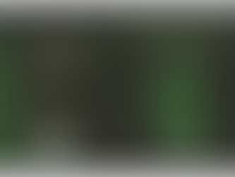 Greening the Paranormal: Exploring the Ecology of Extraordinary Experience