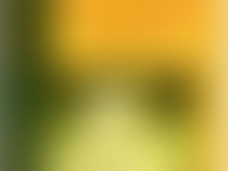 The Buddhist Tantras: Light on Indo-Tibetan Esotericism