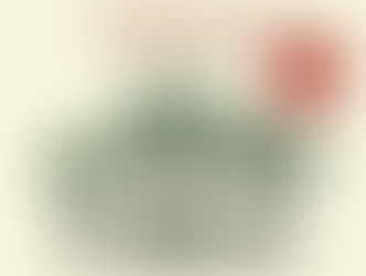 The Hidden Life of Trees - by Peter Wohlleben