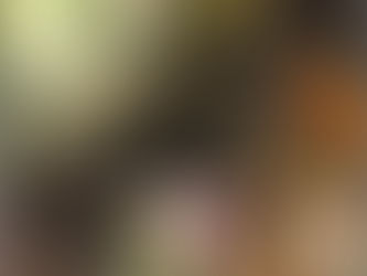 The road to Delphi : the life and afterlife of oracles