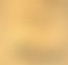 The Wholeness of Nature: Goethe's Way Toward a Science of Conscious Participation in Nature by Henri Bortfort