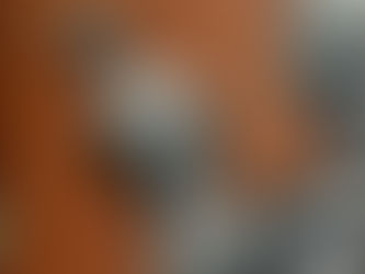 The Art of Nepal (Published by The Asia Society Inc)