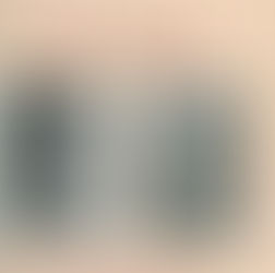 Pauli and Jung : the meeting of two great minds