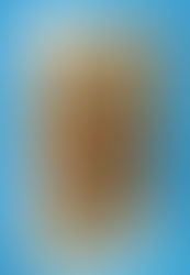 Mustang, the Forbidden Kingdom: Exploring a Lost Himalayan Land