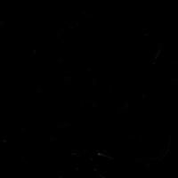 SHAMAN Volume 1 Numbers 1 & 2 Spring/Autumn 1993
Second Edition, Revised and Expanded 2007