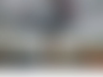 The Handbook of Contemporary Animism