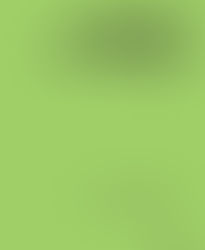 The German Poets of the First World War