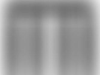 The Implications of Ritual Practices and
Ritual Plant Uses on Nature Conservation:
A Case Study Among the Naxi in Yunnan
Province, Southwest China