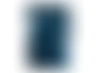 Military Neuroscience and the Coming Age of Neurowarfare