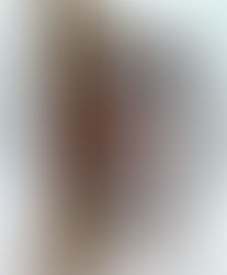 Classical Fighting Arts of Japan: A Complete Guide to Koryu Jujitsu