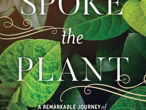 Thus Spoke The Plant: A Remarkable Journey of Groundbreaking Scientific Discoveries & Personal Encounters with Plants