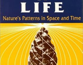 The Vortex of Life: Nature's Patterns in Space and Time