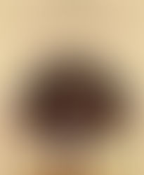 What Are the Humanities For?
by Willem B. Drees