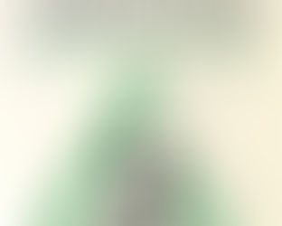 Goethe's Scientific Consciousness by Henri Bortoft