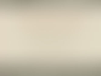 The Roots of Hinduism: The Early Aryans and the Indus Civilisation