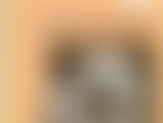 Philosophy Of Science And The Occult Patrick Grim