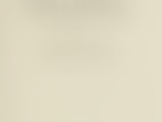 Meditation and the Martial Arts - Michael L. Raposa