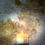 Thumbnail: Psychic Protection Candle (8oz) Coconut Blend